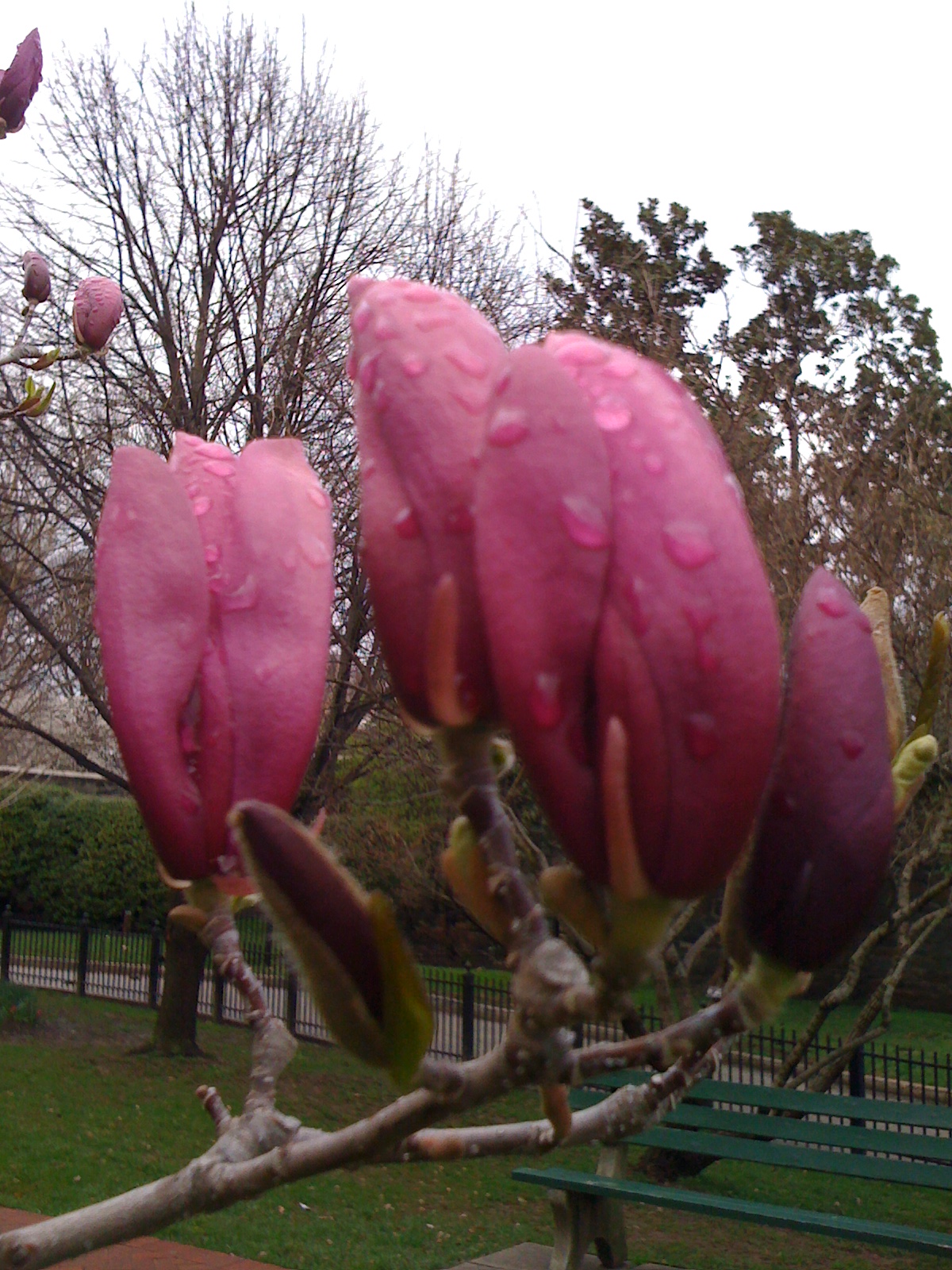 [IMG_1001.JPG]