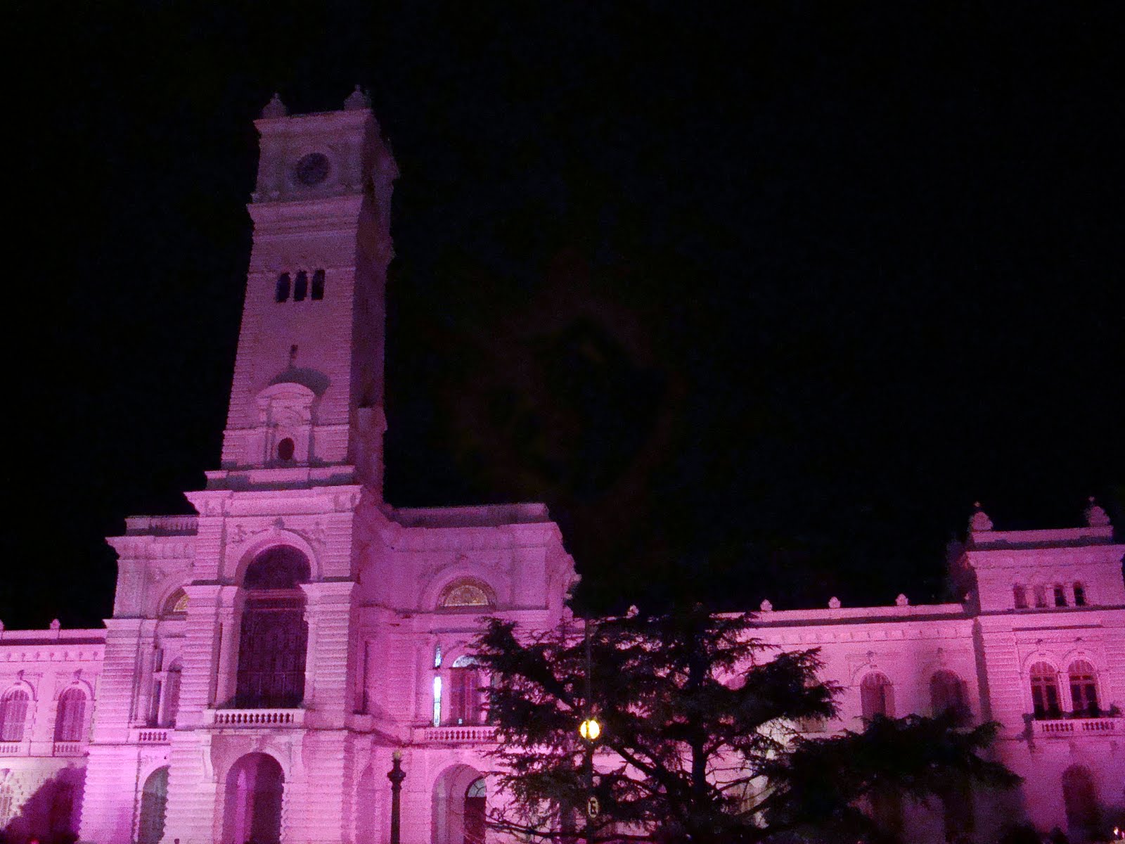Lazo Rosa Iluminación de la Municipalidad de La Plata