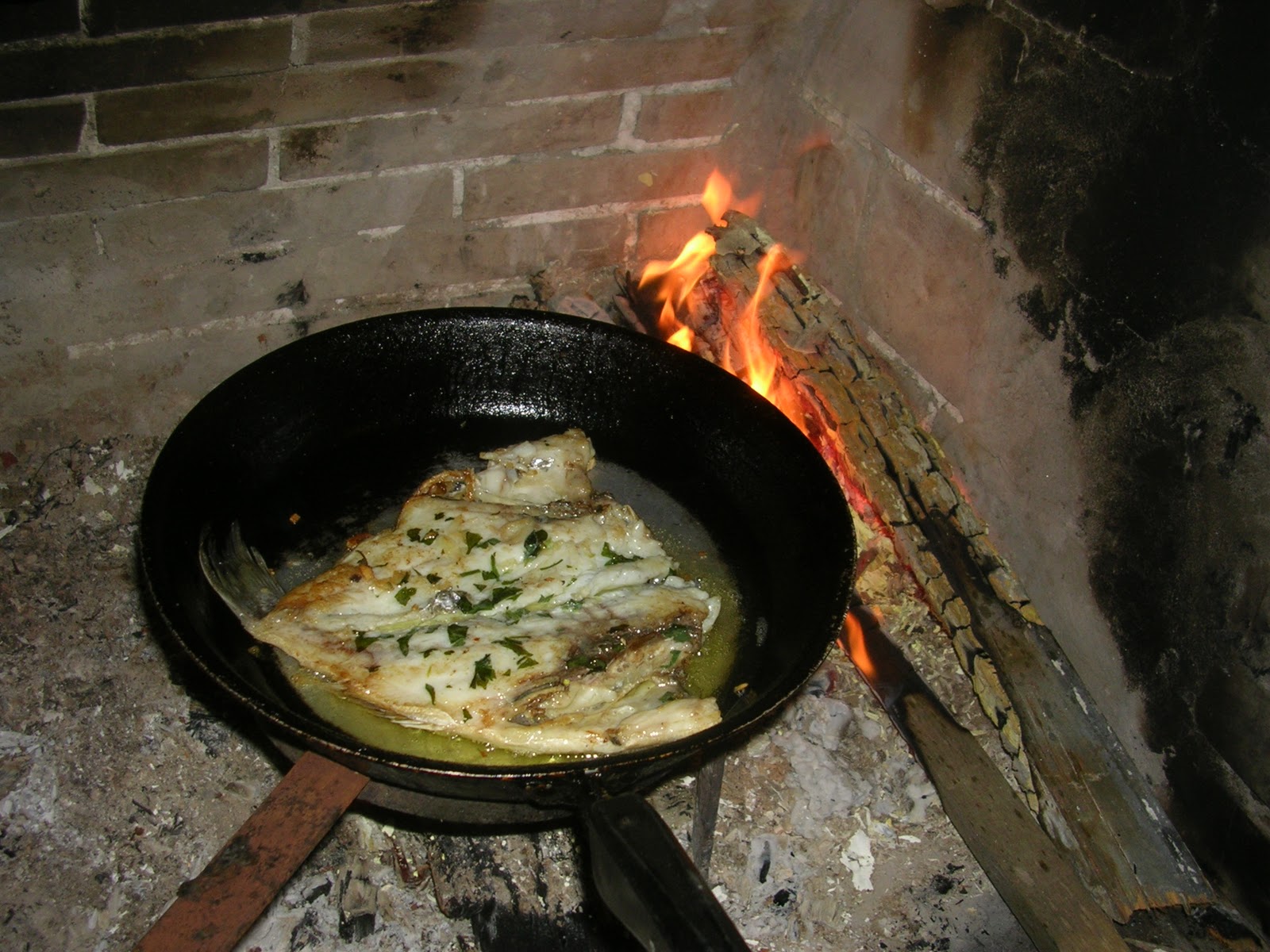 MAESTR@S DEL FOGON: "DORADA A LA CHIMENEA" POR SAM