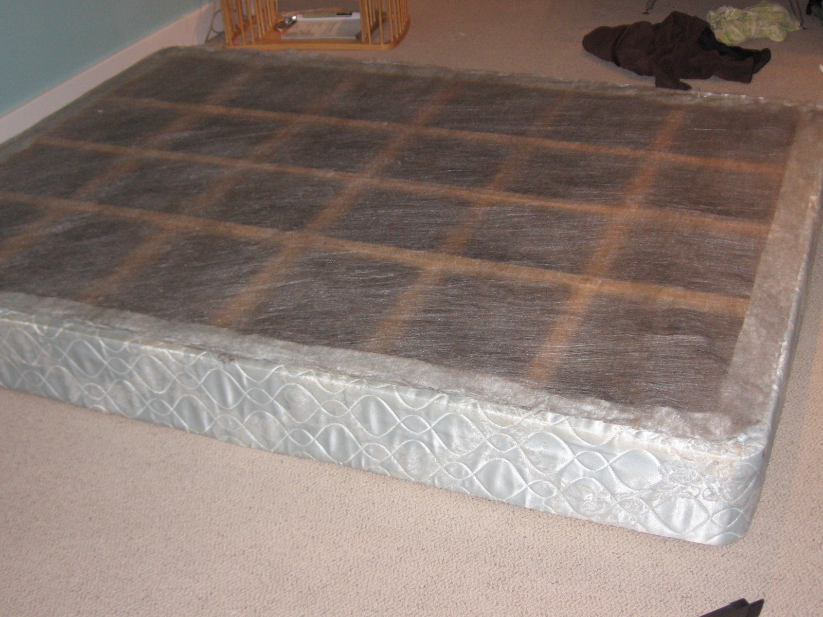 Half a Chestnut Dismantling the Queen