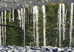 Willard Island, Prince William Sound, Alaska