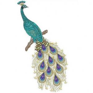 Peacock's Designs Art Work