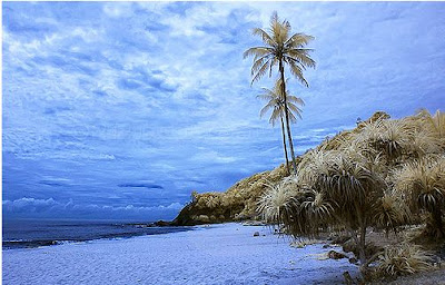 ~Destinasi : Pantai Tanjung Jara