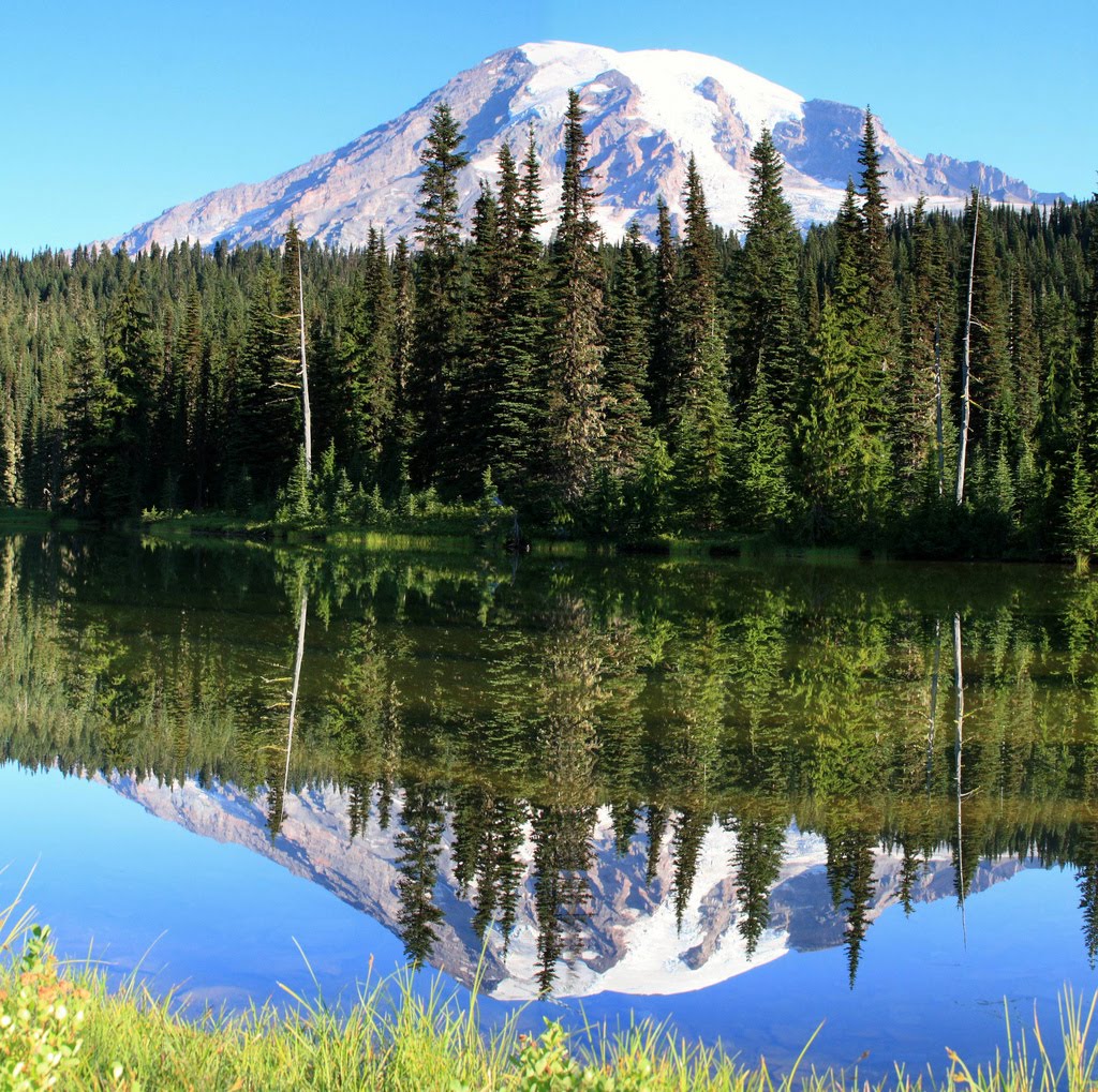 Mt. Rainier From Reflection Lake (Washington State, USA, Near Seattle