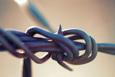 Barbed Wire Knot