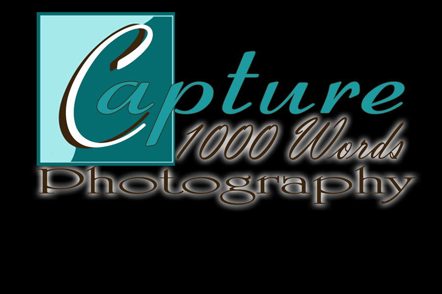 Capture 1000 Words Photography