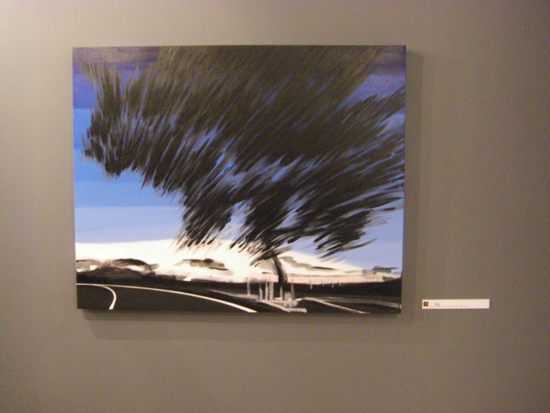 [IMGP3288+[800x600].JPG]