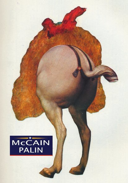 [McCain_Palin.jpg]