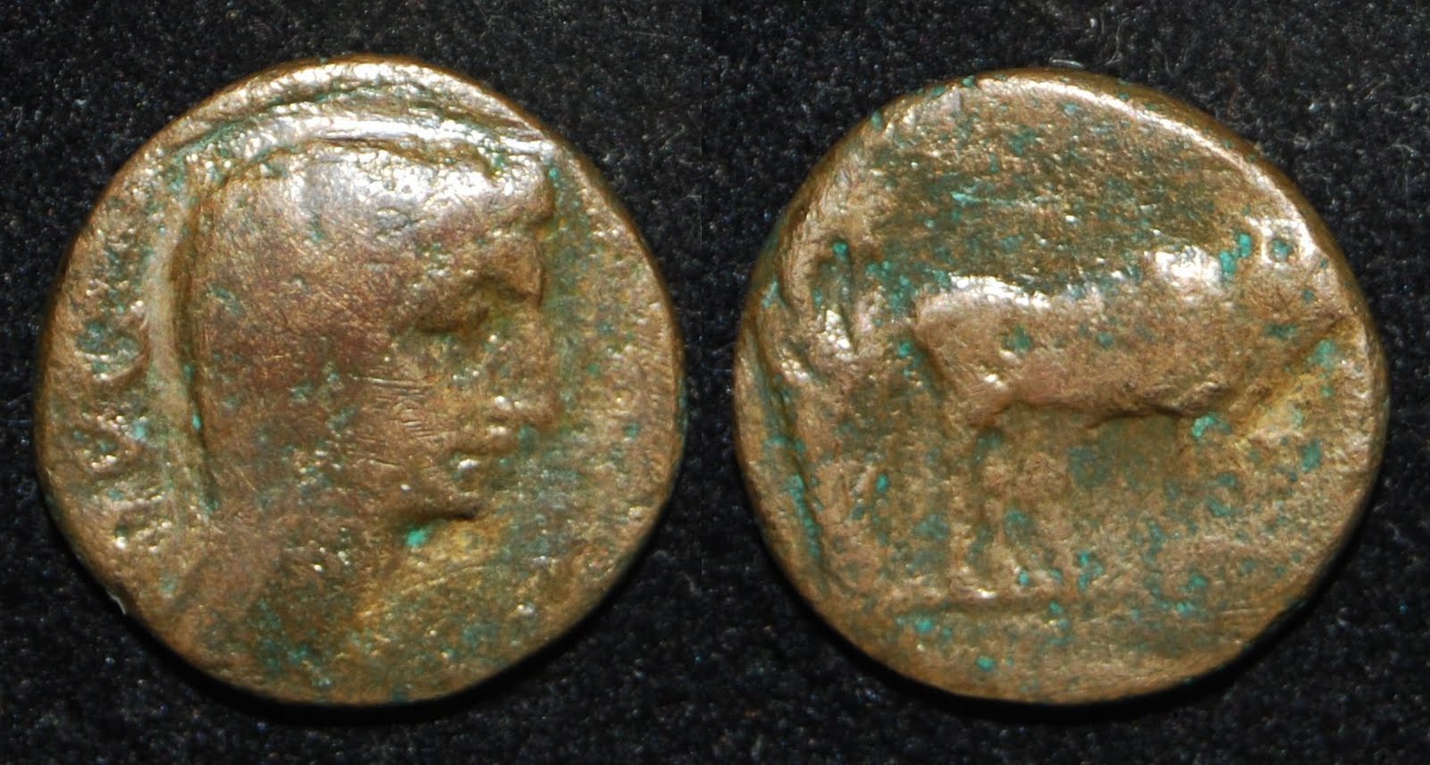 augustus15.JPG