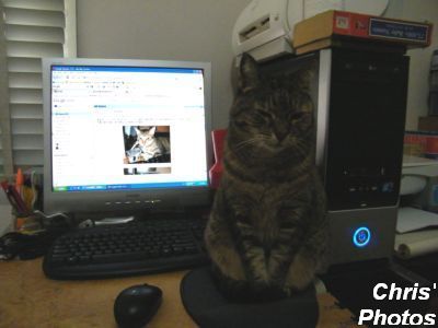 [DSCF0064.JPG]