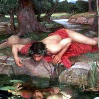 [Narcissus.jpg]
