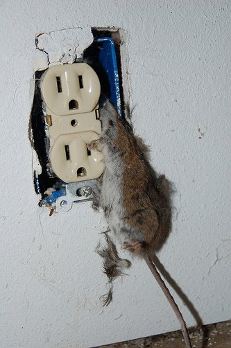 [1511641502_b4e099a992.jpg]