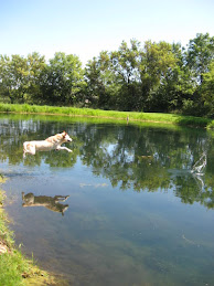 KJ Loves the Pond