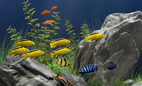 Marleo.NET: Dream Aquarium v1.7 - Protector de pantalla