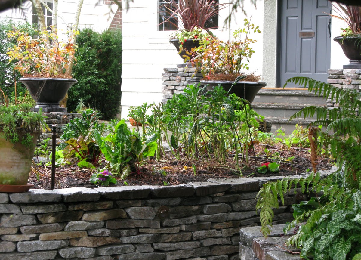 Growing Edibles in Vancouver, British Columbia Vegetables in the Front