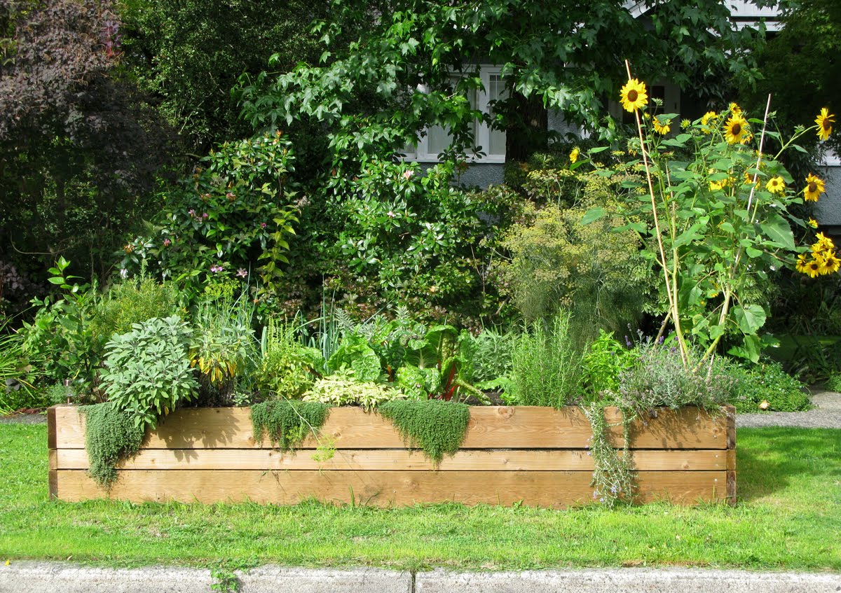 Growing Edibles in Vancouver, British Columbia Vegetables in the Front