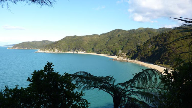 Las calas se suceden en Abel Tasman como un espejo clonado Las calas se suceden en Abel Tasman como un espejo clonado