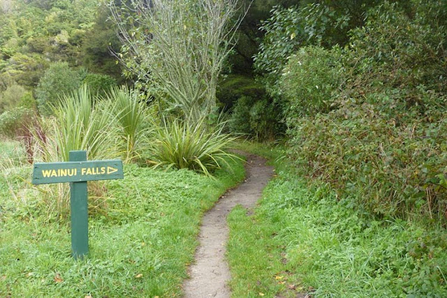 Comienzo del sendero rumbo a las cascadas de Wainui Falls El camino no tiene grandes subidas ni bajadas