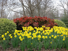 Spring 2010