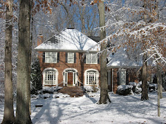 The most snow in Greensboro in the past 4 years!