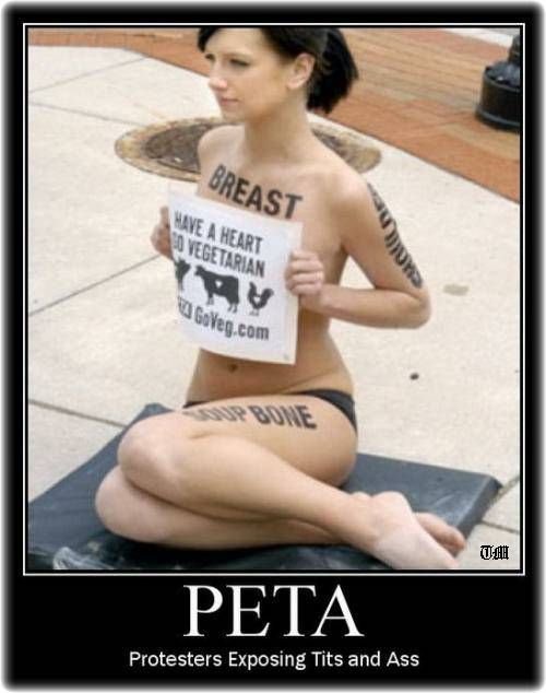 [nsfw-peta-protesters-exposing-tits-and-ass.jpg]
