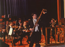 www.orchestraprincipatodiseborga.com