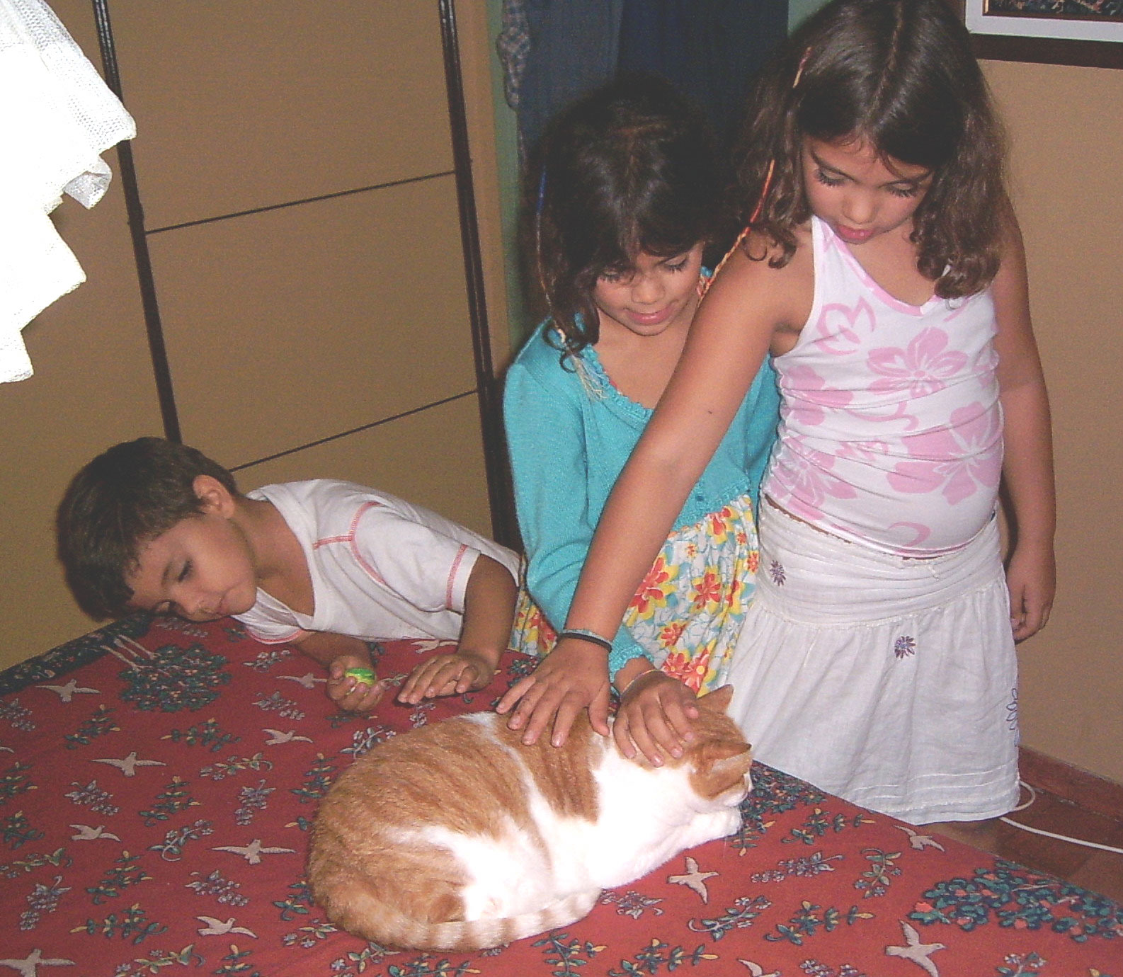 [Gatas-e-visitas.jpg]