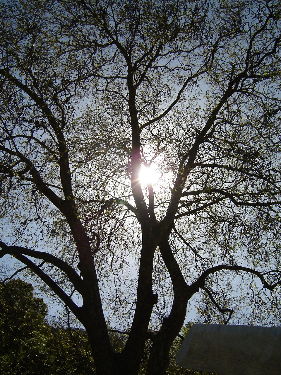 [GrandeMaior(VoltaDuche).JPG]