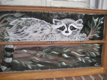 Old window art  Raccoon