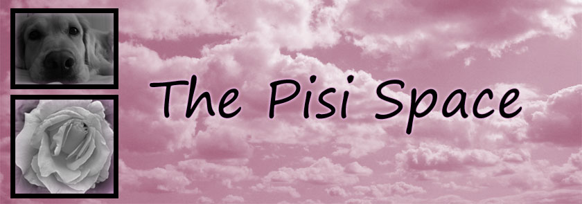 The Pisi Space
