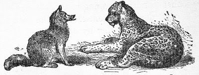 Resultado de imagem para O LEOPARDO E A RAPOSA