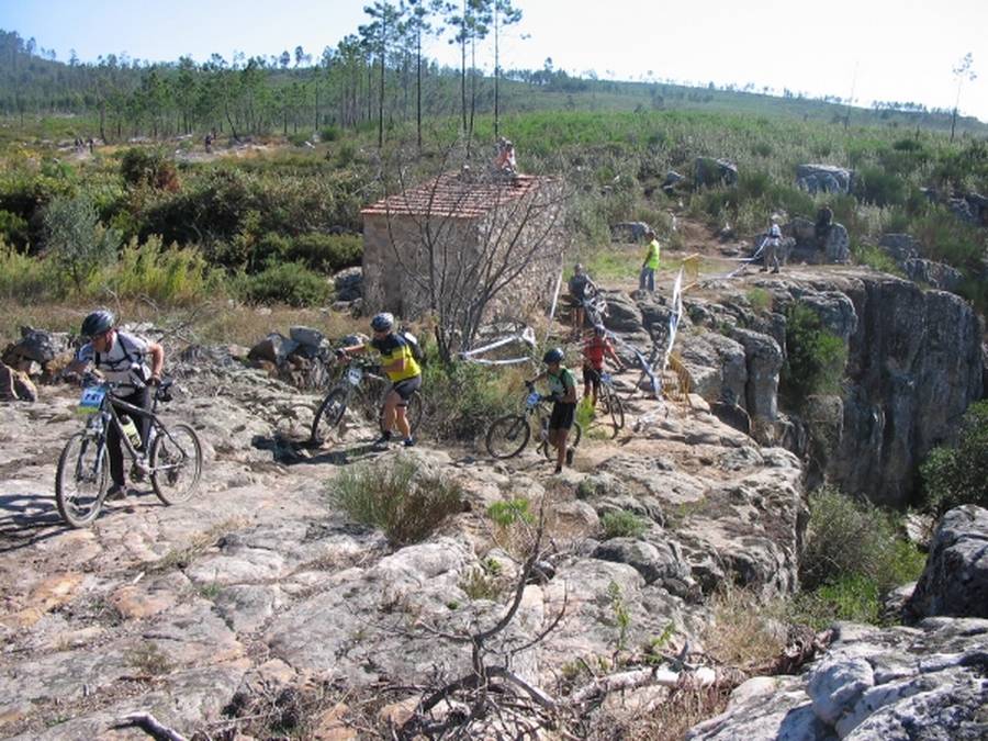 [Transpinhal_001P.jpg]