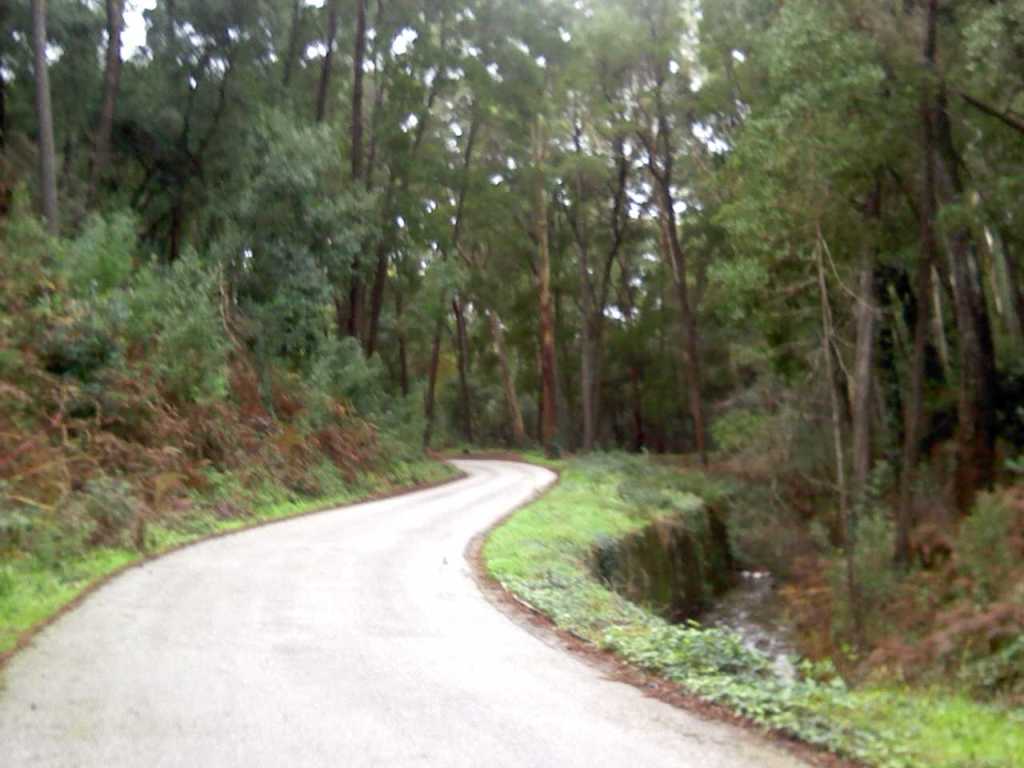 [11+corrida+spmoel.jpg]