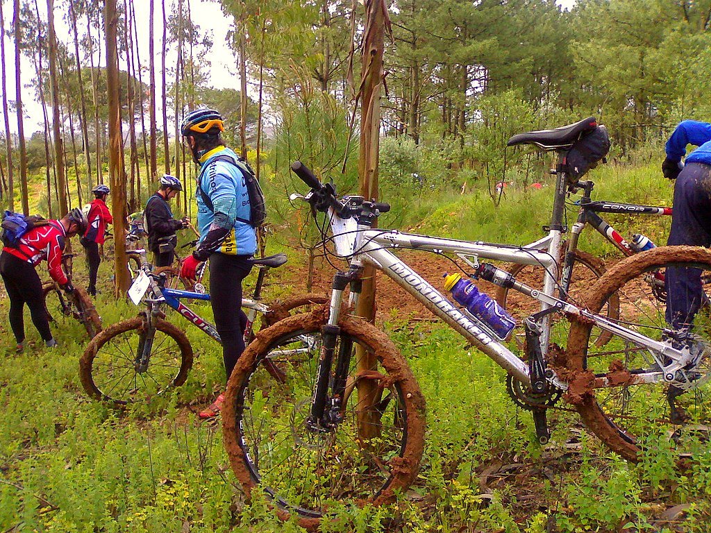 [1_pisoes_lama_2.jpg]