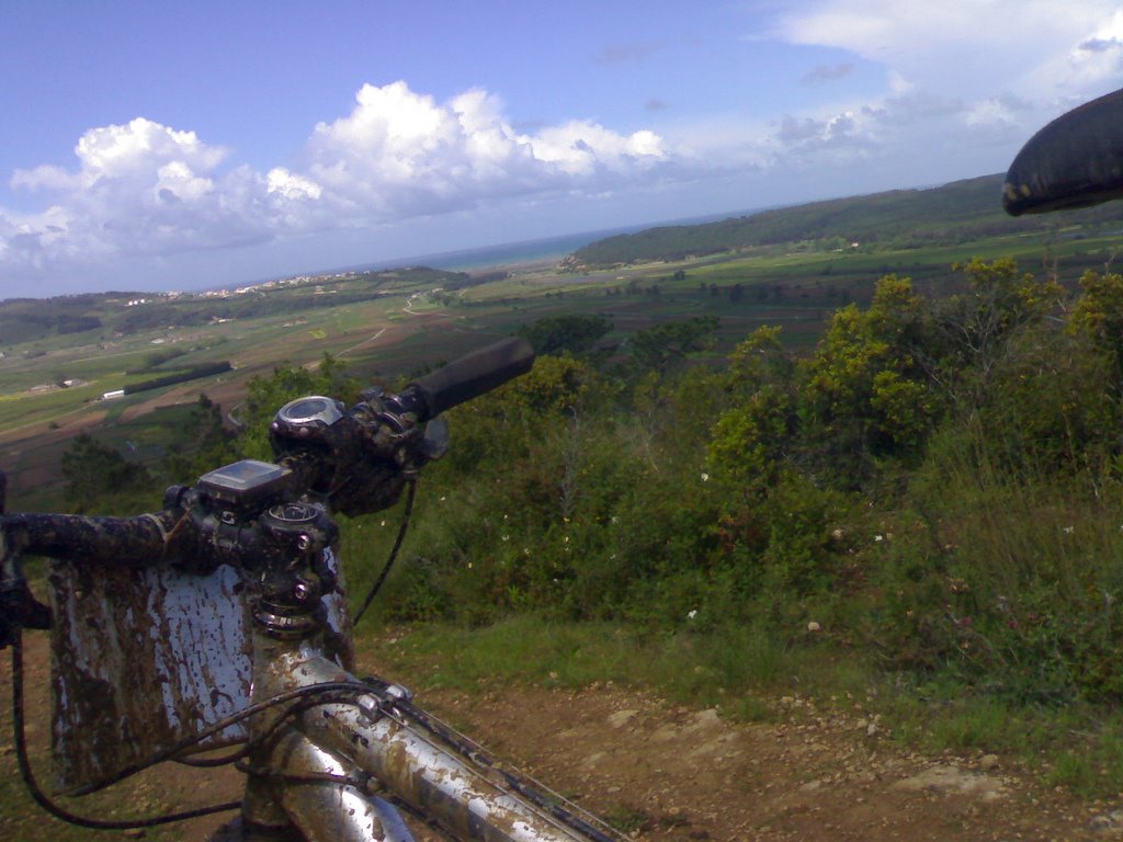 [pisoes_la_em_cima.jpg]