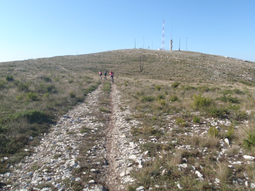 [juncal10200814.JPG]