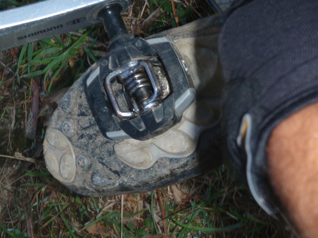 [juncal10200804.JPG]