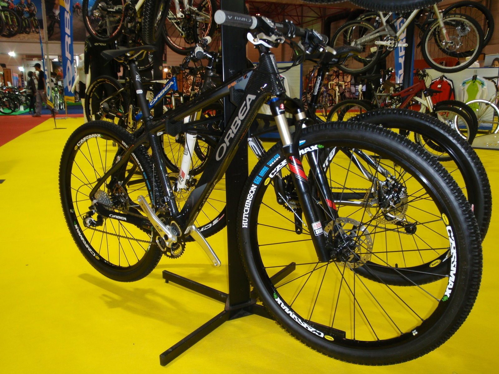 [fb_exp+29+orbea+alma2.jpg]