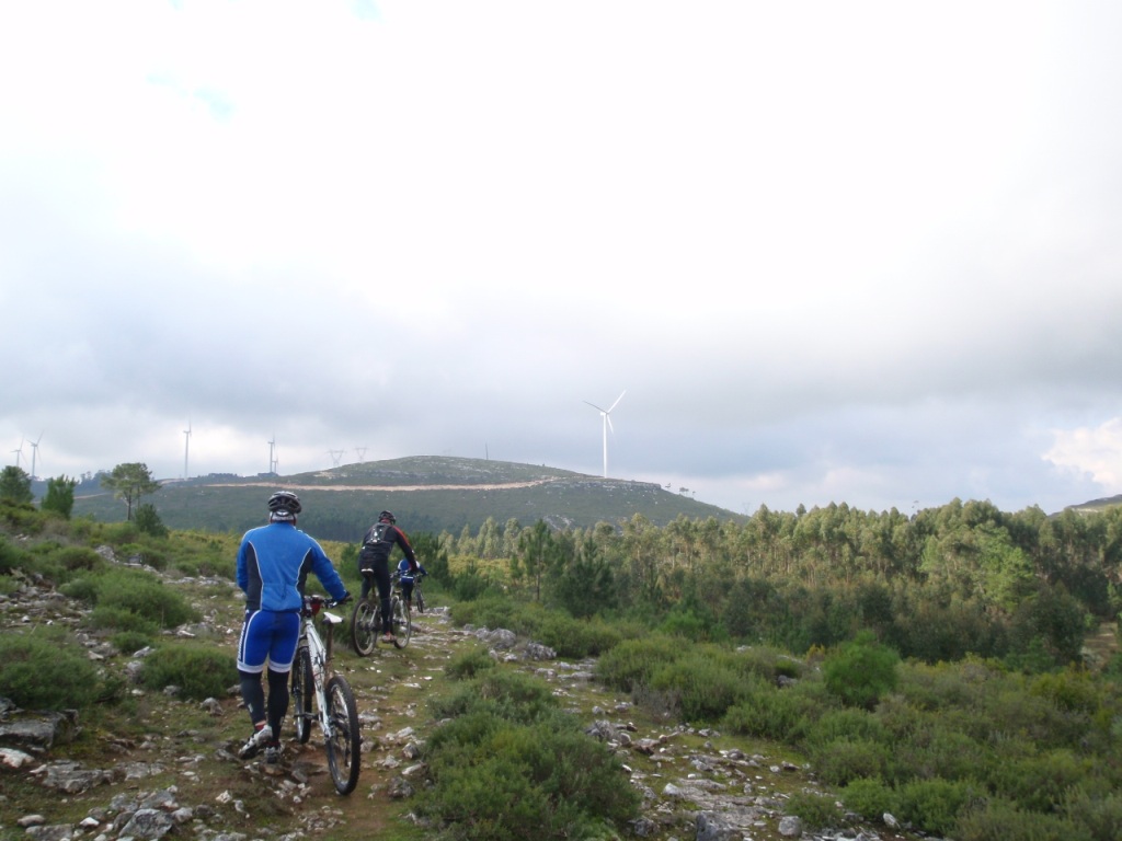 [2009-01-04_btt_8.jpg]