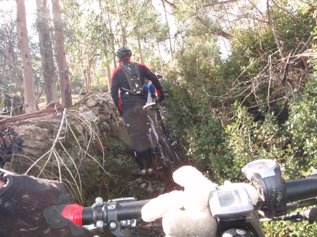 [2009-01-04_btt_6.jpg]