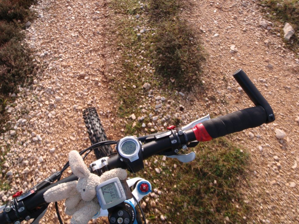 [2009-01-04_btt_3.jpg]