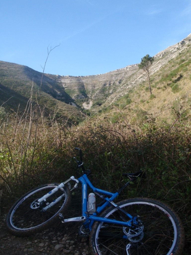 [bl+gf+f+fornea3.jpg]