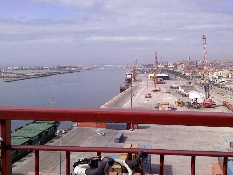 [figueira+volta+ponte.jpg]