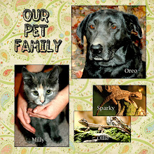 Our Pet Family