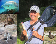 Blog Authors: Barb Mayer, with Uncle Ulua, Kahiko Ladu, Auntie Moana Laal and Edward Bfal