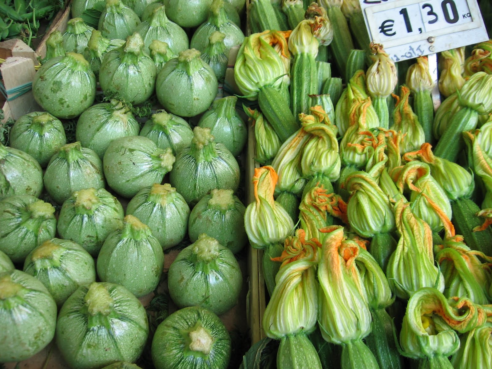 FLAVORS OF ROME ZUCCHINI SEASON???