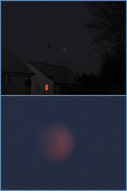 The Glebe Blog: Lunar Eclipse December 2010