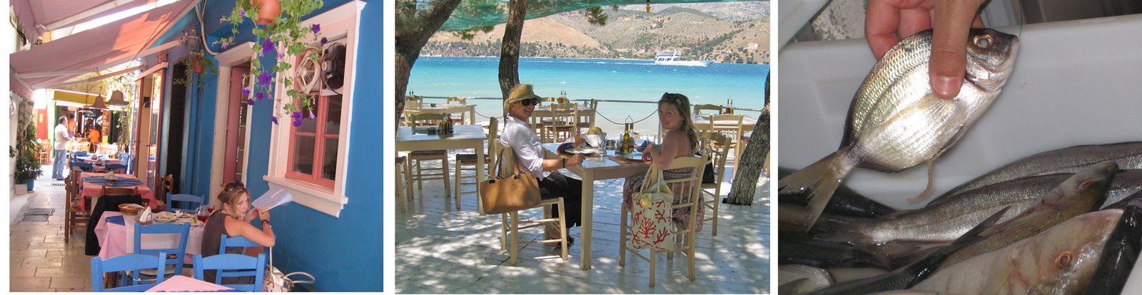 [Viniaras+collage.jpg]