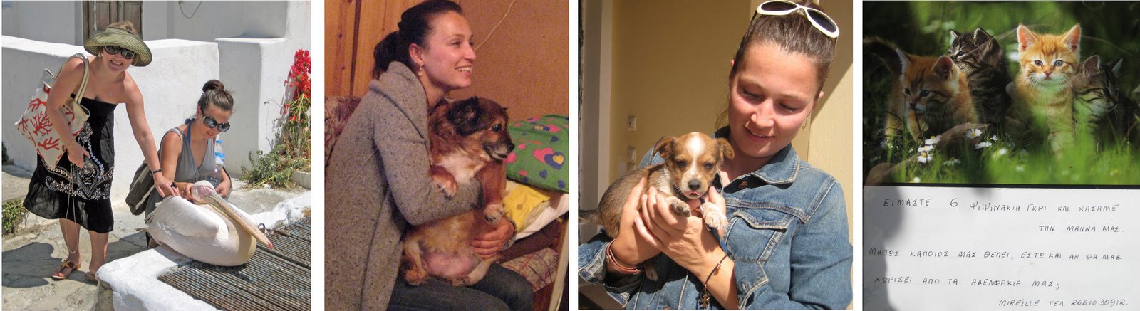 [pelican+collage.jpg]