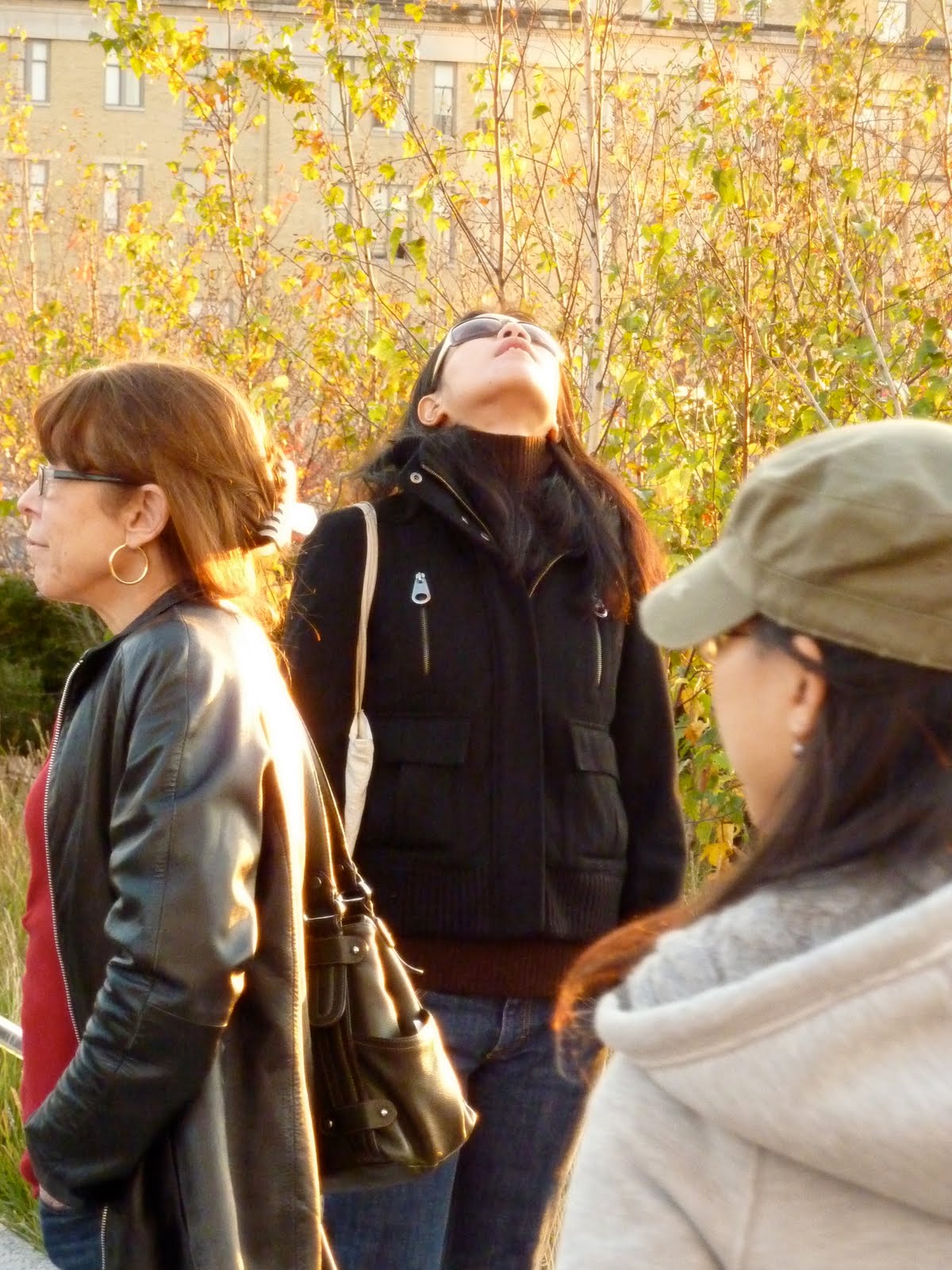 [P1000069.JPG]